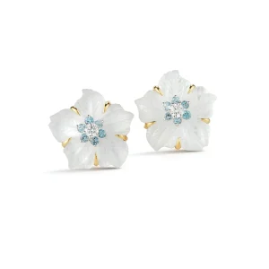 Clematis Earrings in Aquamarine & Diamond